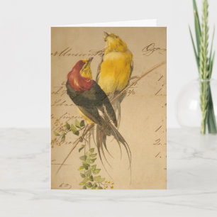 Cartes Pour Fêtes Annuelles Livre vintage, Noël