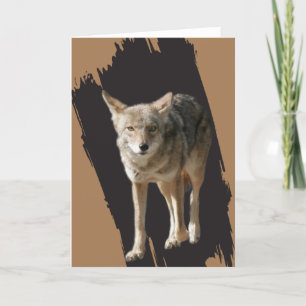 Cartes Pour Fêtes Annuelles Lone Coyote