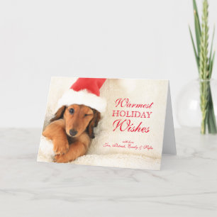 Cartes Pour Fêtes Annuelles Longhair Dachshund Puppy Winking
