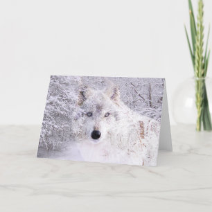 Cartes Pour Fêtes Annuelles Loup de Noël ou d'hiver