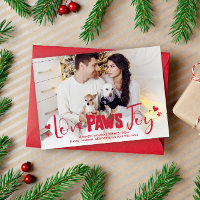 Love Paws Joy - Animaux de Noël Photo