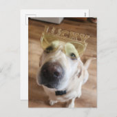 Cartes Pour Fêtes Annuelles Lucky Lab (Devant / Derrière)