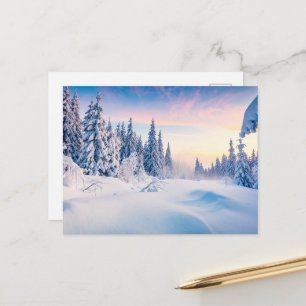 Cartes Pour Fêtes Annuelles Lumière douce de l'hiver