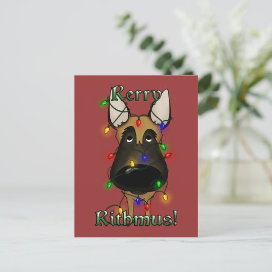 Cartes Pour Fêtes Annuelles Lumières de Noël de Malinois de Belge (Debout devant)