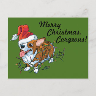 Cartes Pour Fêtes Annuelles Lumières de Noël de Noël de chiot de corgi de