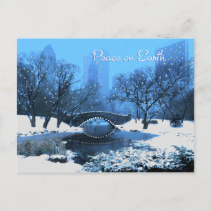 Cartes Pour Fêtes Annuelles Lumières neige et vacances à Central Park Peace
