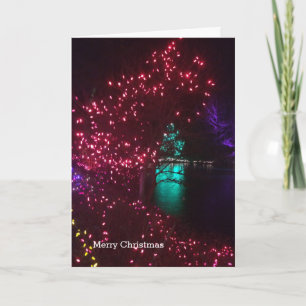 Cartes Pour Fêtes Annuelles Lumières vives dans un jardin botanique