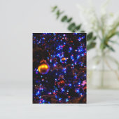 Cartes Pour Fêtes Annuelles Luminosité de vacances bleu (Debout devant)