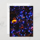 Cartes Pour Fêtes Annuelles Luminosité de vacances bleu (Devant / Derrière)