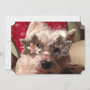 Cartes Pour Fêtes Annuelles Lunettes de flambeau pour l'hiver de ce westie