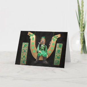 Cartes Pour Fêtes Annuelles Lutin de la Saint-Patrick en Golden Retriever sur 