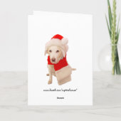 Cartes Pour Fêtes Annuelles M. & Mme Kitty Claws (Dos)