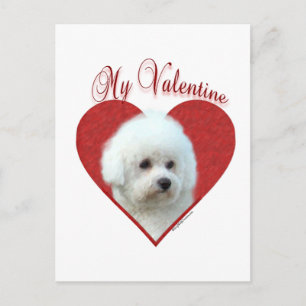 Cartes Pour Fêtes Annuelles Ma Bichon Frise Valentine