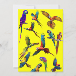 Cartes Pour Fêtes Annuelles Macaws et autres macaws