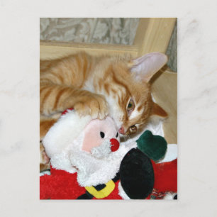 Cartes Pour Fêtes Annuelles Mad à Père Noël