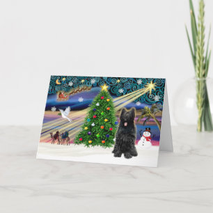 Cartes Pour Fêtes Annuelles Magic-Briard-Blk de Noël