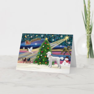 Cartes Pour Fêtes Annuelles Magie de Noël-Caniche-Std-Blc