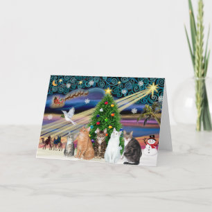 Cartes Pour Fêtes Annuelles Magie de Noël - Cinq chats (AmSH)