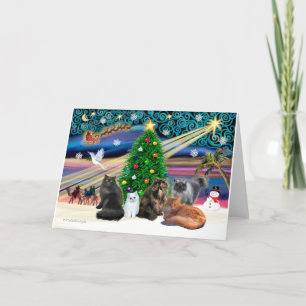Cartes Pour Fêtes Annuelles Magie de Noël - Cinq chats persans