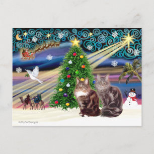 Cartes Pour Fêtes Annuelles Magie de Noël - Deux chats Maine Coon