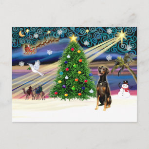 Cartes Pour Fêtes Annuelles Magie de Noël-Doberman noir-naturel