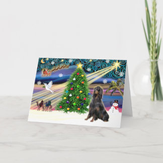Cartes Pour Fêtes Annuelles Magie de Noël Gordon Setter
