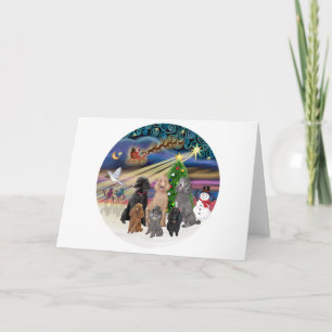 Cartes Pour Fêtes Annuelles Magie de Noël (R) - 6 canicules standard