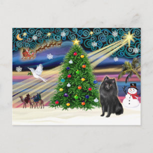 Cartes Pour Fêtes Annuelles Magie de Noël Schipperke