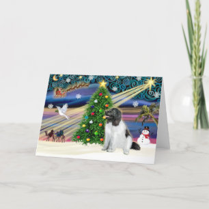 Cartes Pour Fêtes Annuelles Magie de Noël Terre-Neuve (Landseer)