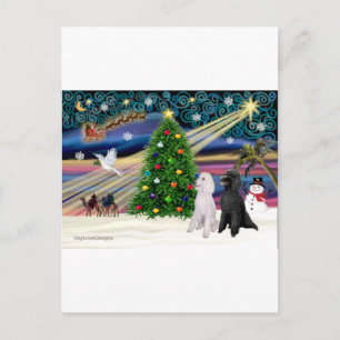 Cartes Pour Fêtes Annuelles MAGIE DE NOËL-Toundra ST-Pair2