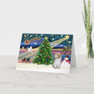 Cartes Pour Fêtes Annuelles Magique de Noël Petit Basset 3