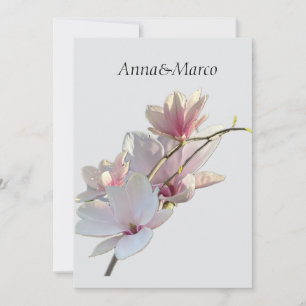 Cartes Pour Fêtes Annuelles magnolia rose