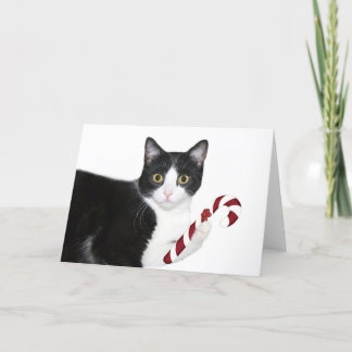 Cartes Pour Fêtes Annuelles Mais j'ai voulu le cataire !