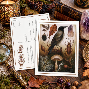 Cartes Pour Fêtes Annuelles Maison Ouverte Éclectique Vintage Corbeau Améthyst