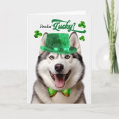 Cartes Pour Fêtes Annuelles Malamute Dog Feelin' Lucky St Patrick's Day (Devant)