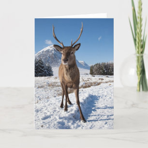 Cartes Pour Fêtes Annuelles Mâle et montagnes