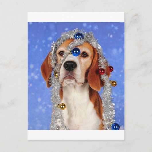 Cartes Pour Fêtes Annuelles Malheur de Noël (Devant)