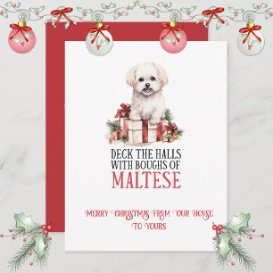 Cartes Pour Fêtes Annuelles Maltese Noël Fantaisiste
