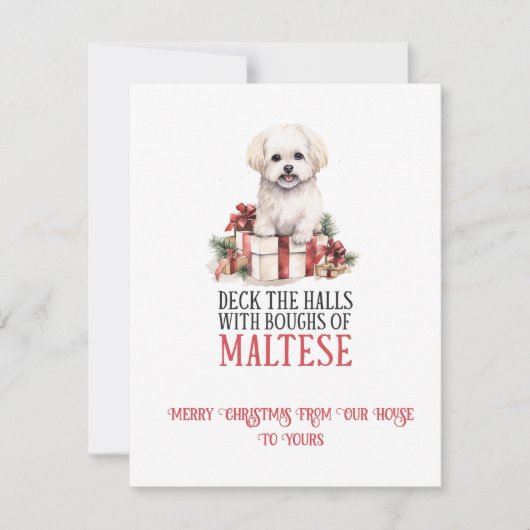 Cartes Pour Fêtes Annuelles Maltese Whimsical Christmas | (Devant)