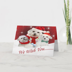 Cartes Pour Fêtes Annuelles Maltese Wishes you Merry Christmas, Maltese Wis...