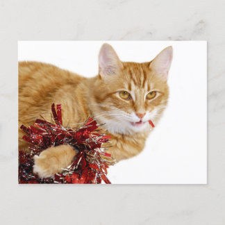 Cartes Pour Fêtes Annuelles Manger des décorations de Noël