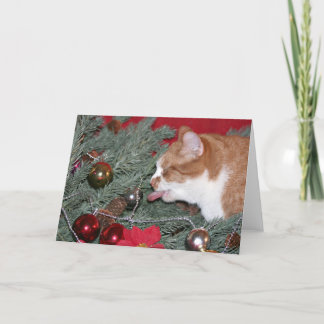 Cartes Pour Fêtes Annuelles Manger le sapin de Noël