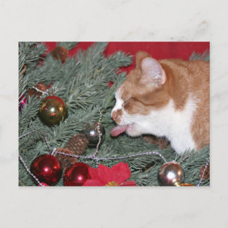 Cartes Pour Fêtes Annuelles Manger le sapin de Noël