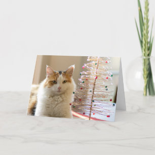 Cartes Pour Fêtes Annuelles Manteau de calicot se trouvant par son mini arbre