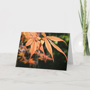Cartes Pour Fêtes Annuelles Maples japonais (7)