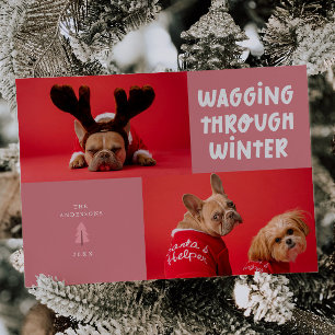 Cartes Pour Fêtes Annuelles Marche à travers la photo de animal rose hivernal