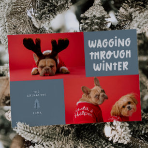 Cartes Pour Fêtes Annuelles Marche à travers l'hiver Slate Blue Pet Photo