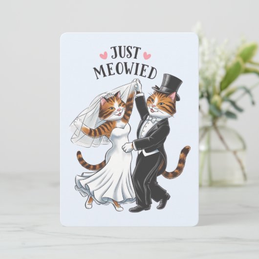 Cartes Pour Fêtes Annuelles Mariés tout juste miaulé Couples Chat Mariage drôl (Debout devant)
