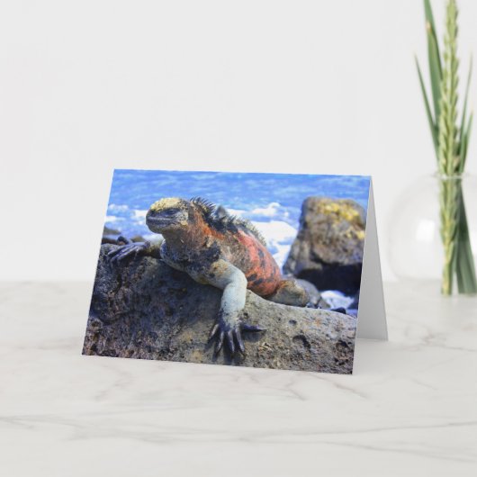 Cartes Pour Fêtes Annuelles Marine Iguana (Devant)