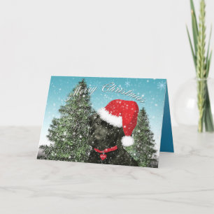 Cartes Pour Fêtes Annuelles Marionnette Labrador Joyeux Noël Santa Hat